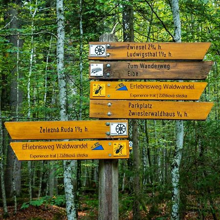 Grosser Arber, Wandern & Sauna, Gemuetliches Apartment Im Nationalpark Bayerischen Wald Lindberg Ngoại thất bức ảnh